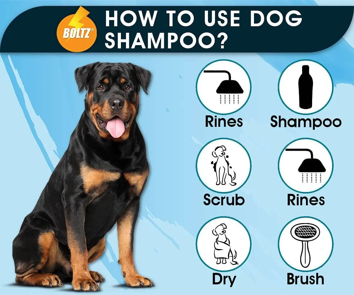 Boltz Shampoo for Dogs