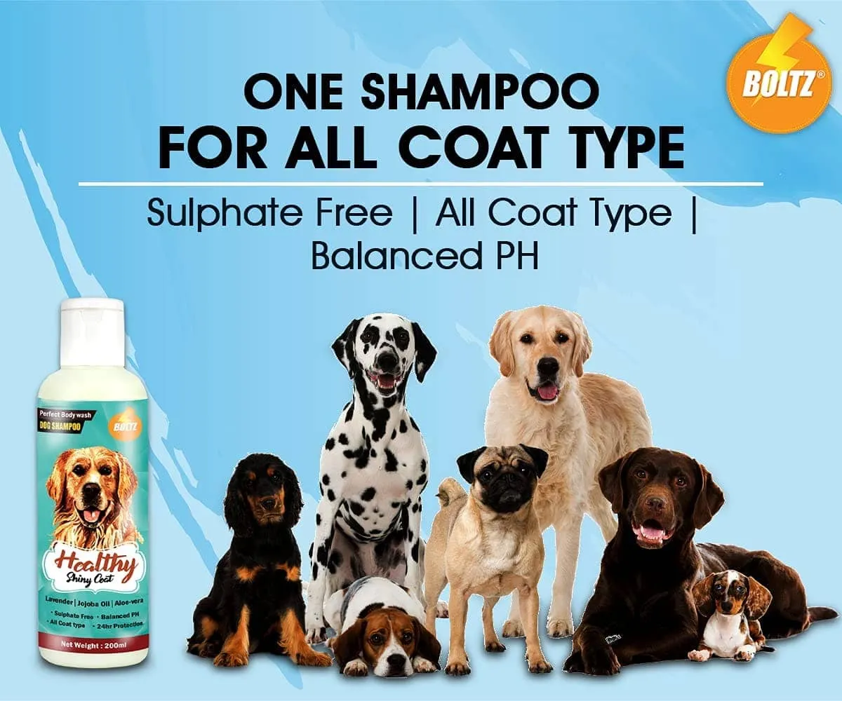 Boltz Shampoo for Dogs