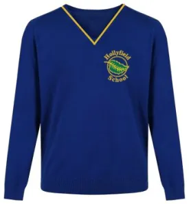 HOLLYFIELD PRIMARY V-NECK KNITWEAR