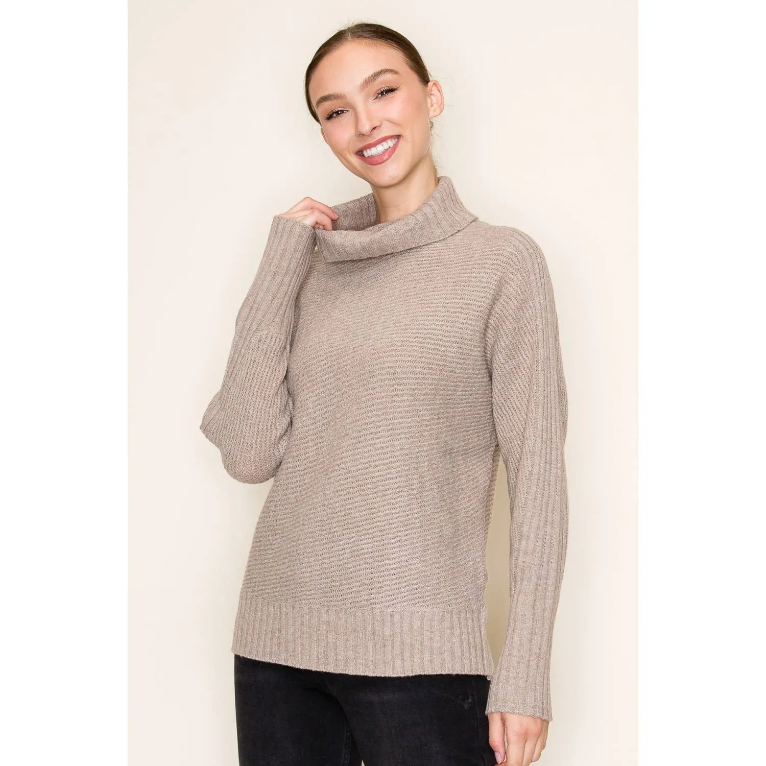 STACCATO - RIBBED TURTLE NECK LONG SLEEVE PULLOVER SWEATER